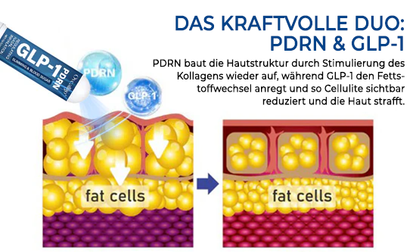 Oveallgo® PDRN-GLP-1 Abnehmen & Blutzucker Regulierung der nasalen Inhalation
